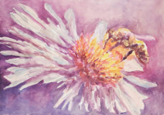 Abeille butinant une fleur